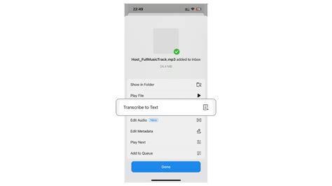 Como Transcrever Udio Em Texto App De Transcri O Iphone