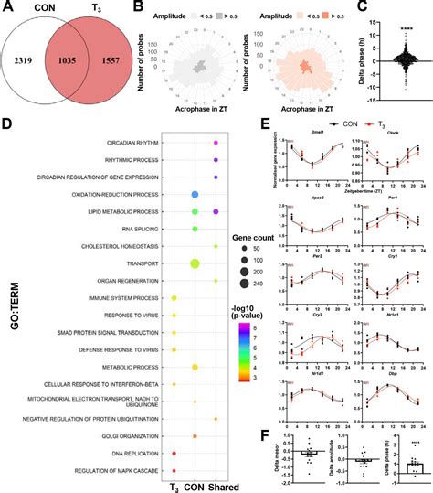 Transcriptome Analyses Console Thermo Fisher Bioz