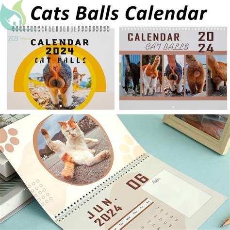 Cat Butt Calendar Funny 2024 Wall Calendar Cat Butthole 2024 Calendar