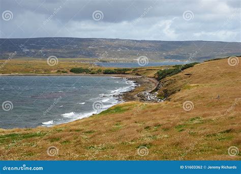 Coast Of East Falkland Stock Photo Image Of Water Carlos 51603362