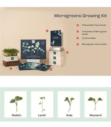 Organic Microgreens Growing Kit Microgreens Grow Kit | Etsy