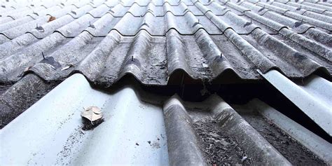 5 Most Common Types Of Roof Damage In Raleigh NC FOREVER Exteriors