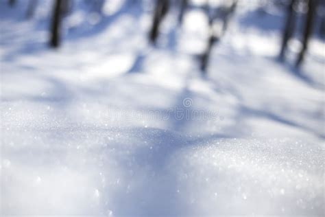 Neve No Dia De Inverno Ensolarado Brilhante Do Parque H Sombras Das