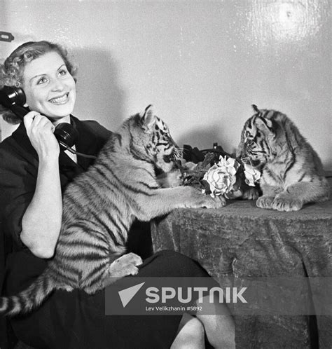 Nazarova Taming Tigers Sputnik Mediabank