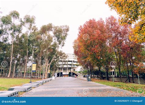 Beautiful Campus Landscape Of University Of California San Diego Ucs Editorial Photo Image Of