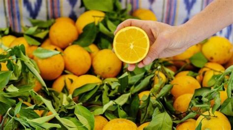 Beneficios Y Propiedades De Las Naranjas Belleza Y Salud