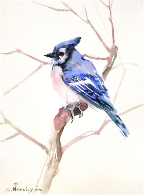 Blue Jay Original Watercolor Painting 12 X 9 In Blue Bird Etsy