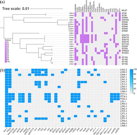 The Prevalence Of Plasmid Mediated Colistin Resistance Gene Mcr And