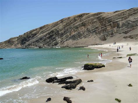 Enjoy the impressive Paracas National Reserve: A Guided Tour