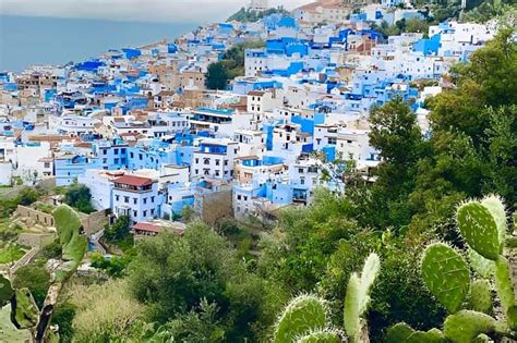 From Tangier Chefchaouen Private Day Tour Getyourguide