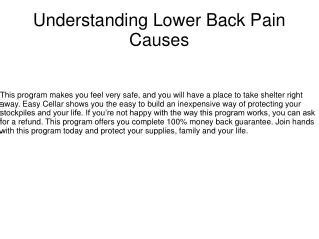 PPT Lower Back Pain Causes Symptoms And Treatments PowerPoint