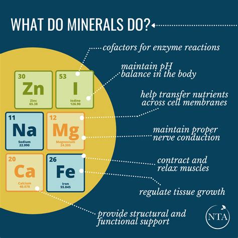 Blog: Essential Minerals - Nutritional Therapy Association