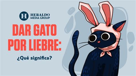 Frase Mexicana Dar Gato Por Liebre Descubre El Origen Y Significado