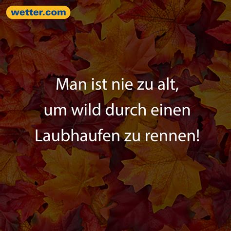 Herbst Bilder Mit Spruch De Spruch