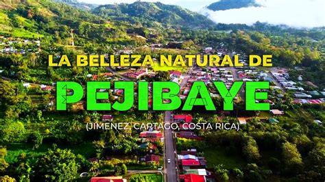 La Belleza Natural Pejibaye Jiménez Cartago Costa Rica YouTube