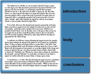 Position Paper Sample With Introduction Body And Conclusion ...