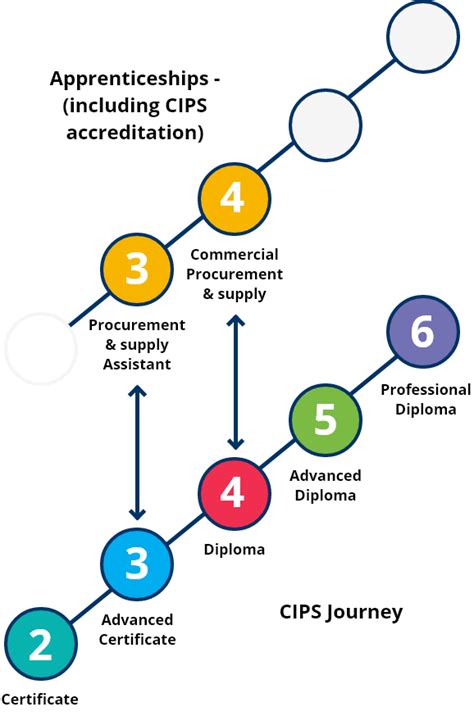 Which Cips Level Is Right For You Cips Training