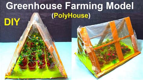 Greenhouse Farming Model Polyhouse Farming Model Diy Science