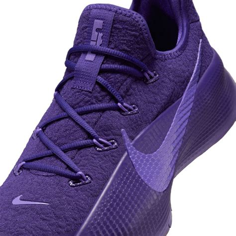 Nike Lebron Tr Purple Rain Basket Ballers