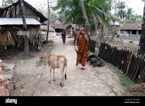 bangladesh surrounding of khulna Stock Photo - Alamy