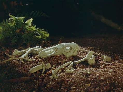 Edmontosaurus Bones (1981) by Kingofallkongs on DeviantArt