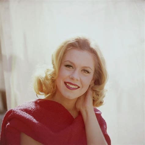 elizabeth montgomery glamour pin   vintage beauty  silver screen