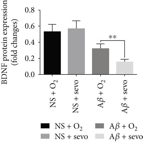 Sevoflurane Inhalation Influenced Protein Expression Of Bcl Xl