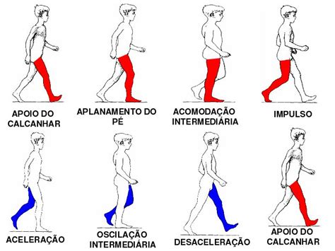 Biomecanica De La Marcha