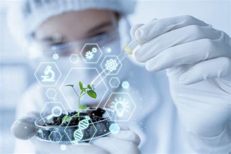 Origin Agritech Unveils Rapid Gene Editing Method And Nitrogen