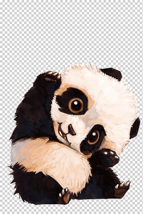 Pequeño panda lindo pequeño panda encantador animal png Klipartz