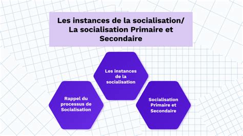 Les Instances De La Socialisation La Socialisation Primaire Et