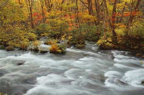 全国の紅葉の名所2022年の見頃はいつ？「日光」は10月中旬、「京都・嵐山」は11月下旬の予想 車と旅のwebメディア