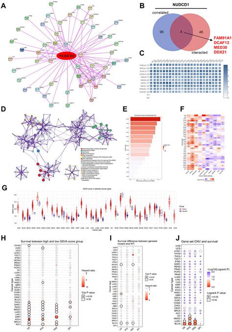 Identifying The Role Of Nudcd In Human Tumors From Clinical And