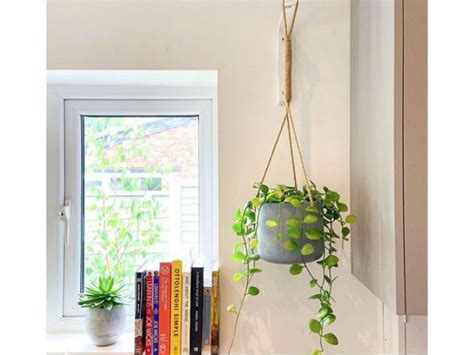 Ideas Para Redecorar Tu Cocina Con Plantas Me Lo Dijo Lola