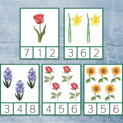 Flower Preschool Printable Count And Clip Cards 1 10 Etsy