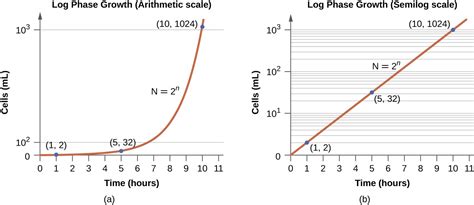 Cell Growth Curve