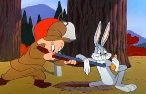 Looney Tunes for Looney Times – Elmer Fudd Disarmed | Orange County Gun ...