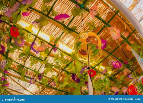 Summer Of Wind Chimes Japanese Culture Stock Image Image Of Culture