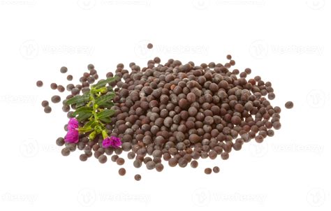 Black mustard seeds 8582788 Stock Photo at Vecteezy