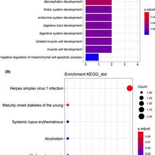 Heat Map Of The Differentially Expressed Methylated Genes Between Hnscc