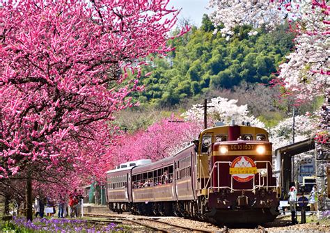 春爛漫 わたらせ渓谷鉄道 神戸駅 ばんばんの鉄道放浪記