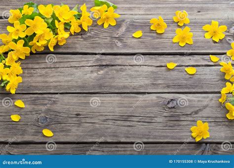 Flores De Primavera Sobre Fundo De Madeira Escuro Foto De Stock