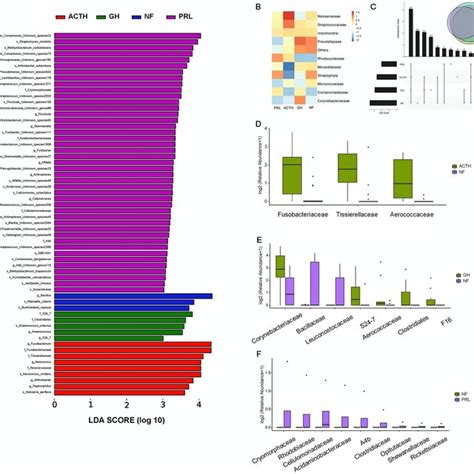 Functional Predictions For Bacteria By PICRUSt2 KEGG Analysis A And