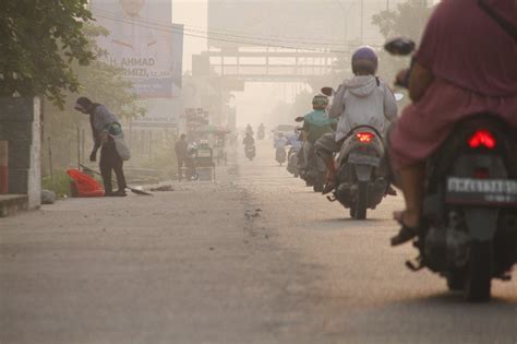 Terdeteksi Hotspot Karhutla Di Riau Inhu Sumbang Titik