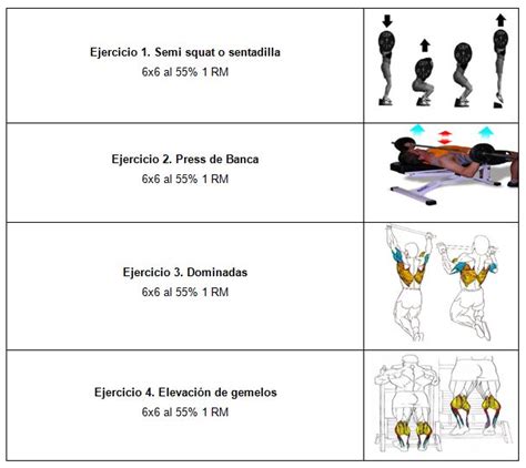 Propuesta Pr Ctica Sobre El Entrenamiento De La Fuerza En El Baloncesto