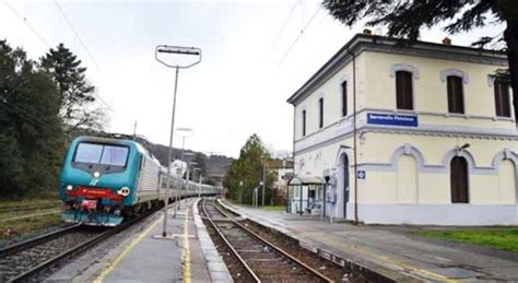 Il Cane Scappa Il Padrone Lo Insegue E Muore Investito Dal Treno