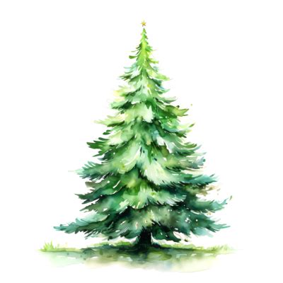 Christmas Tree Watercolor PNGs for Free Download