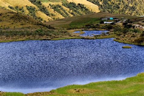 Immersion in the three Colombian mountain ranges in 2024! - Manakin ...