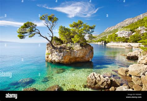 Makarska Riviera Coast Kamen Brela Brela Stone On The Beach Is