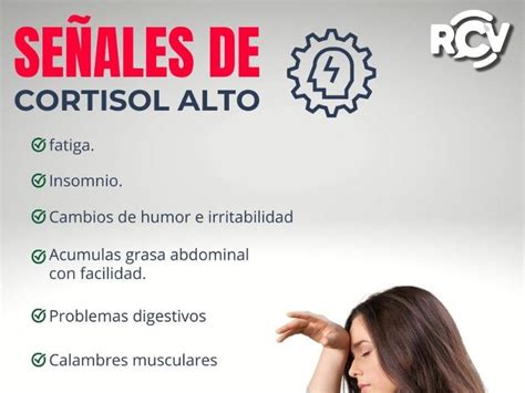 Aquí Te Contamos Que Es El Cortisol Y Como Controlarlo